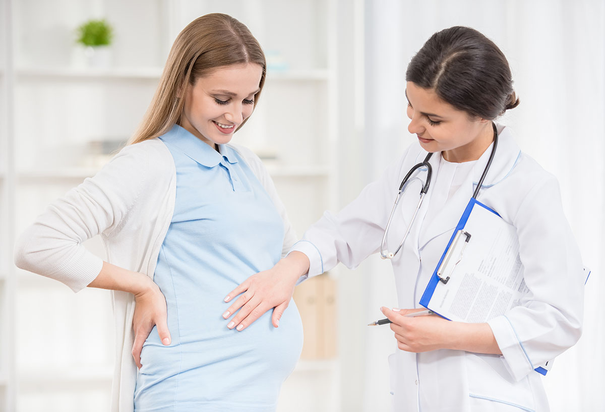 акушер-гинеколог ведет беременность